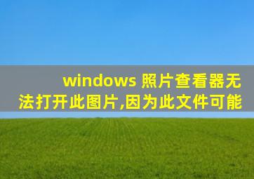 windows 照片查看器无法打开此图片,因为此文件可能